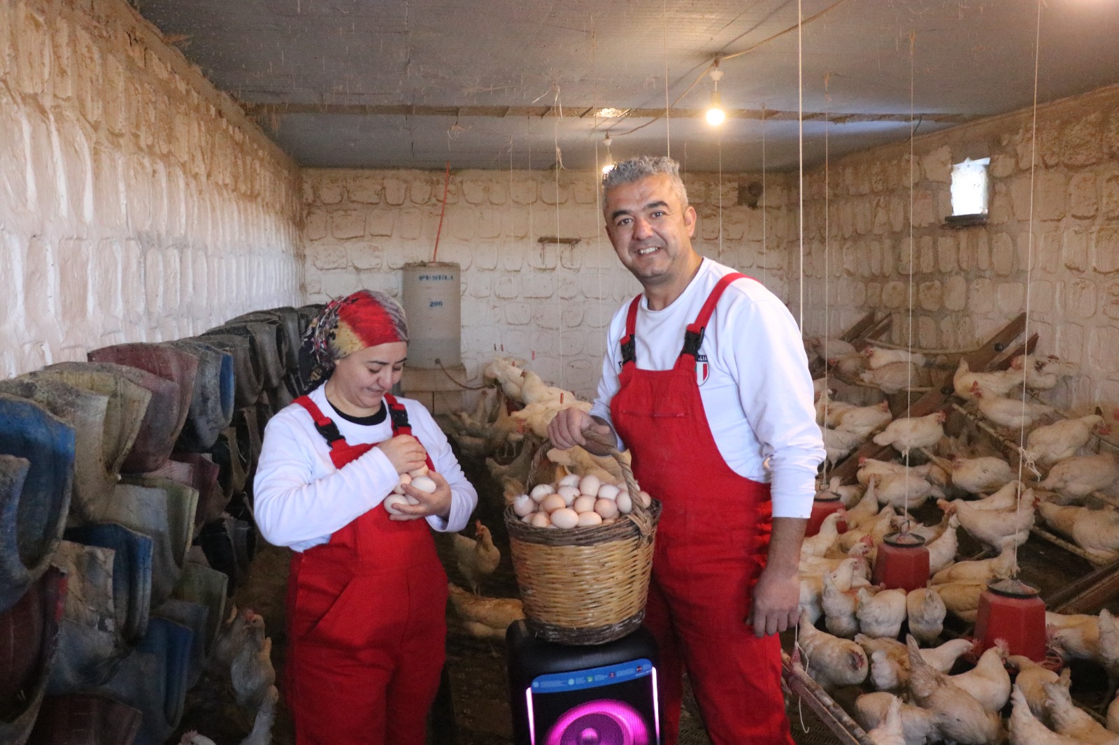 Eski Kamu Görevlisi Şehir Hayatını Bıraktı, Tavukçulukta Müzik Formülüyle Başarıyı