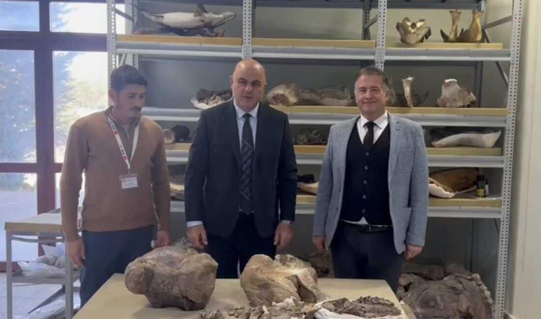 Tuzluca İlçesinde Yürütülen Kazılarda Dünyanın En Büyük Kara Memelilerinden Biri