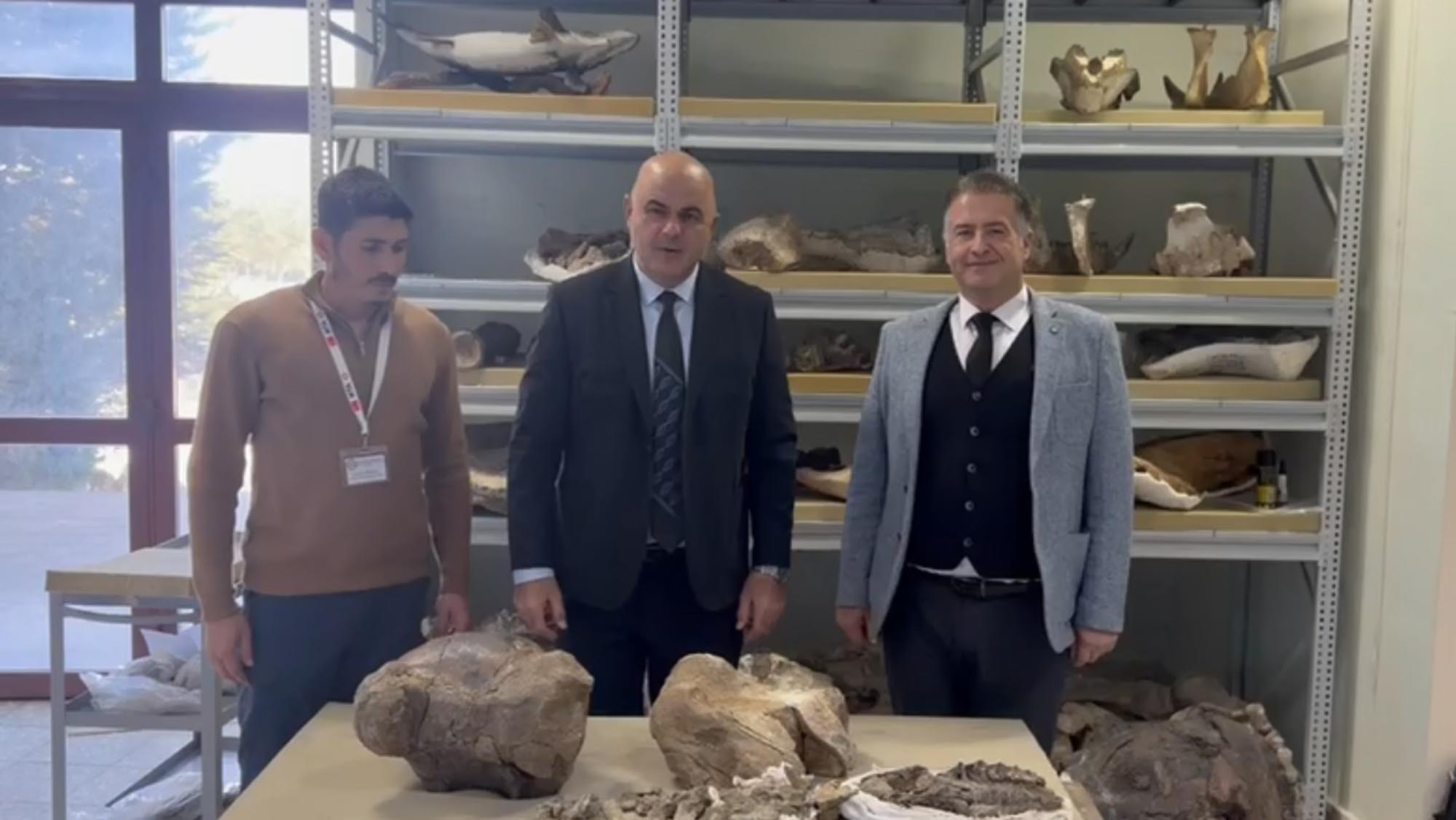 Tuzluca İlçesinde Yürütülen Kazılarda Dünyanın En Büyük Kara Memelilerinden Biri