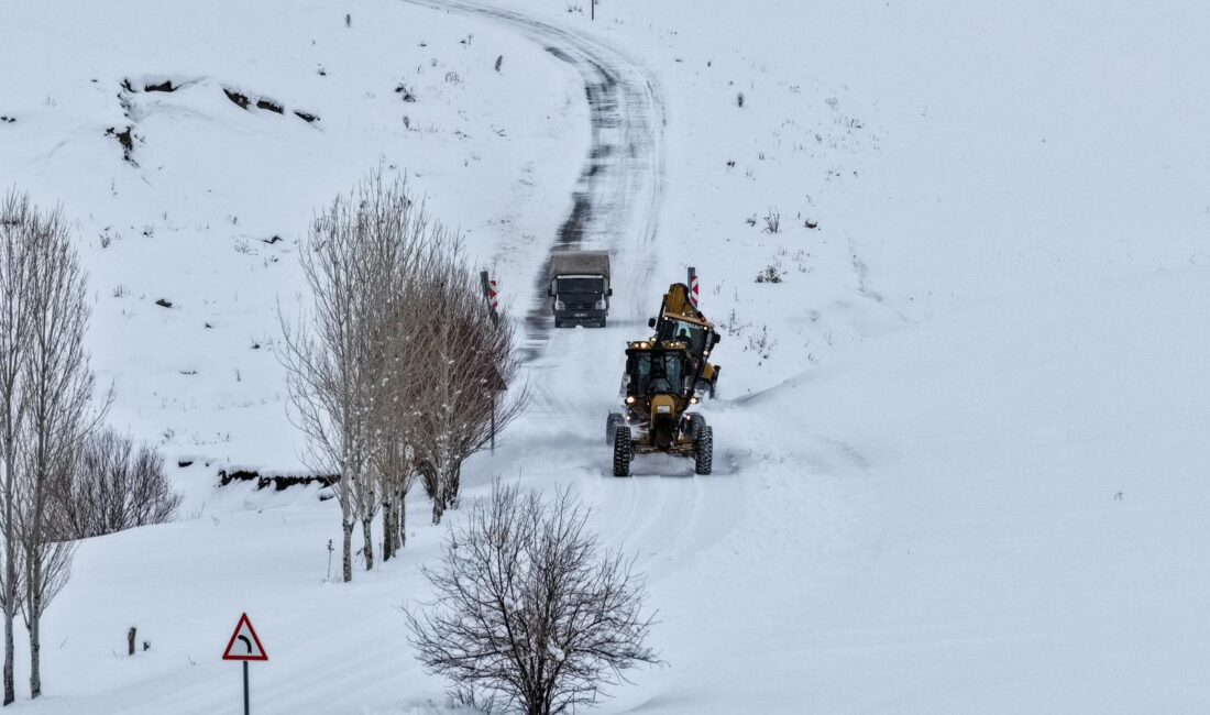 Van’da iki gün önce etkili olan yoğun kar yağışı sonrası