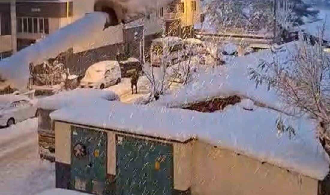 Siirt il genelinde etkisini sürdüren olumsuz hava koşulları ve yoğun