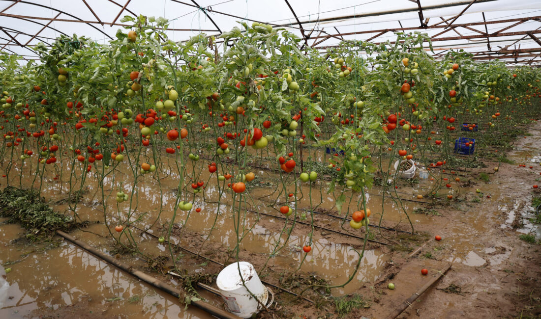 Antalya’nın Serik, Aksu, Kumluca, Finike ve Demre ilçelerinde etkili olan