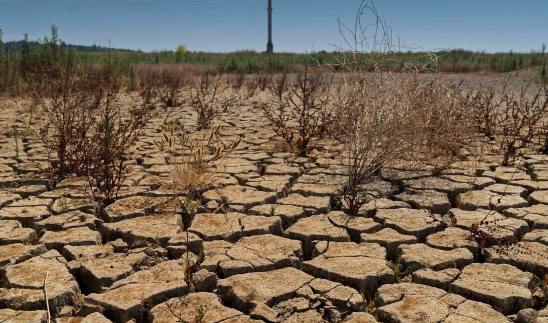 İZMİR – TMMOB Meteoroloji Mühendisleri Odası İzmir Temsilcisi Ayşegül Akıncı