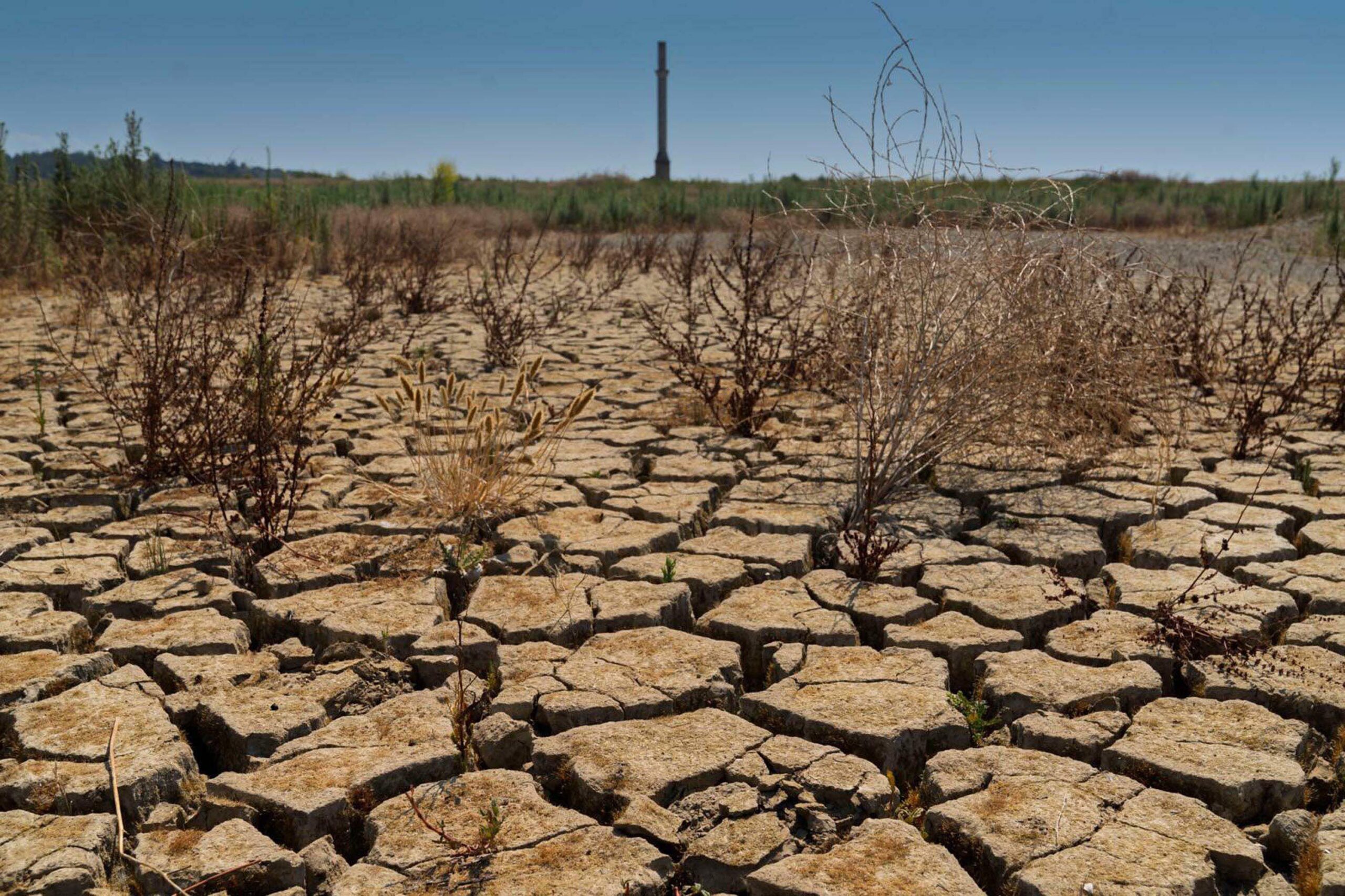 İZMİR – TMMOB Meteoroloji Mühendisleri Odası İzmir Temsilcisi Ayşegül Akıncı