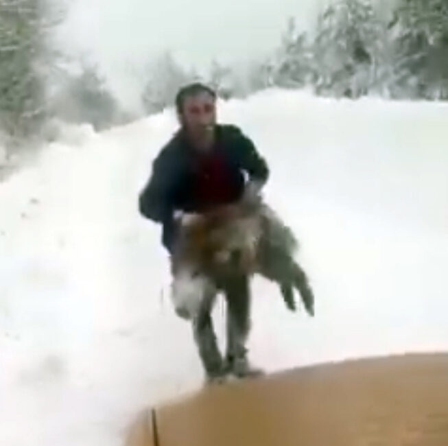 Sinop’un Erfelek ilçesinde karlı yolda aracıyla seyir halindeyken önüne çıkan