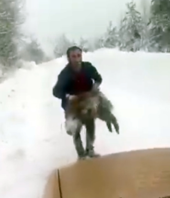 Sinop’un Erfelek ilçesinde karlı yolda aracıyla seyir halindeyken önüne çıkan