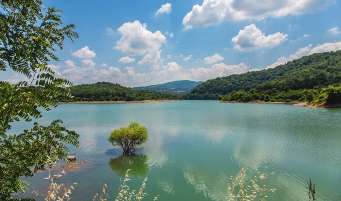 Yalova’nın içme suyu ihtiyacını karşılayan Gökçe Barajı’ndaki doluluk oranının artmasıyla