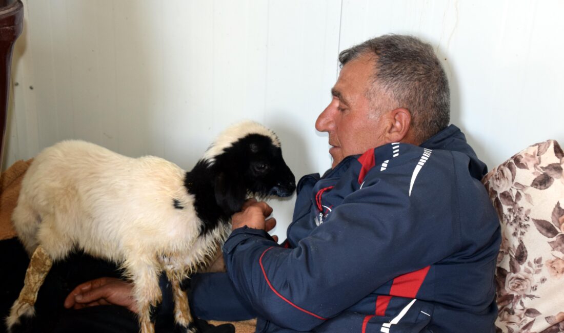 Van’ın Erciş ilçesinde hayvancılıkla uğraşan 8 çocuk babası Feyat Polat