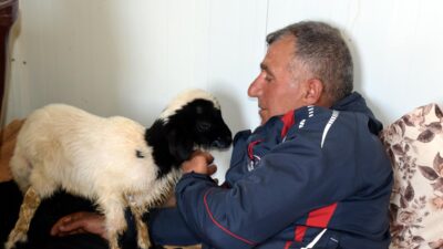 Van’ın Erciş ilçesinde hayvancılıkla uğraşan 8 çocuk babası Feyat Polat