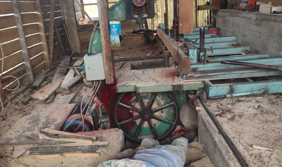 Samsun’un Atakum ilçesinde 71 yaşındaki Osman Kalyoncu, evinin bahçesinde başı