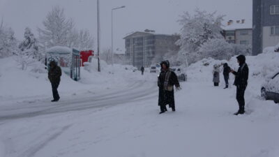 BİTLİS ve Van kırsalında etkisini artıran yoğun kar yağışı, hayatı