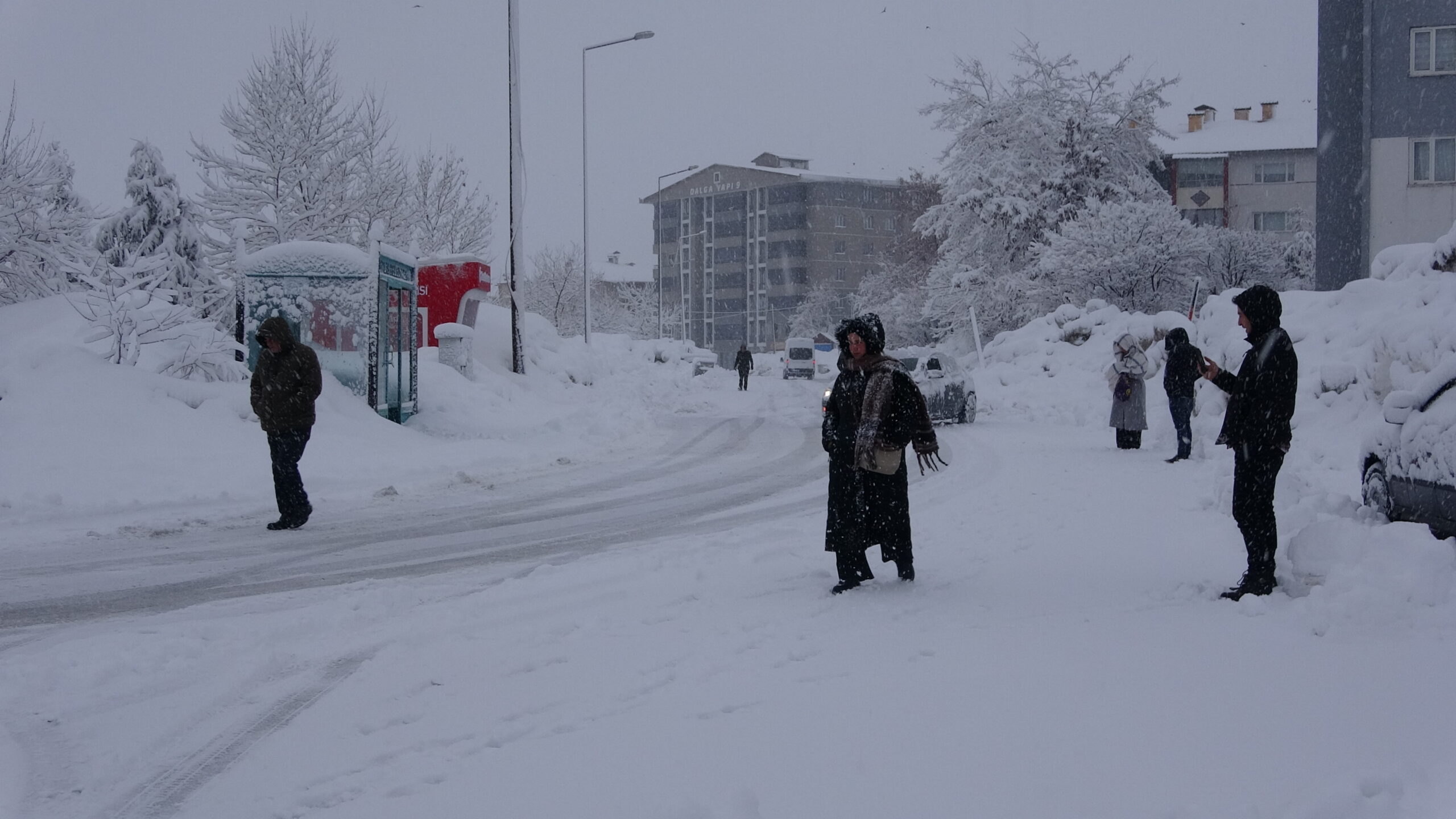 BİTLİS ve Van kırsalında etkisini artıran yoğun kar yağışı, hayatı