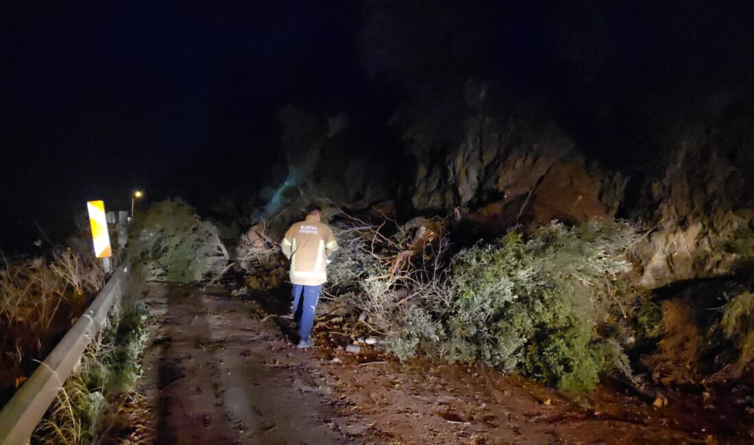BURSA’nın Mudanya ilçesinde gece saatlerinde meydana gelen heyelan, sahil yolunun