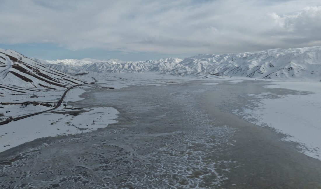 Hakkari’nin Yüksekova ilçesinde dondurucu soğuklar nedeniyle buzla kaplanan Nehil Sazlığı’nda,