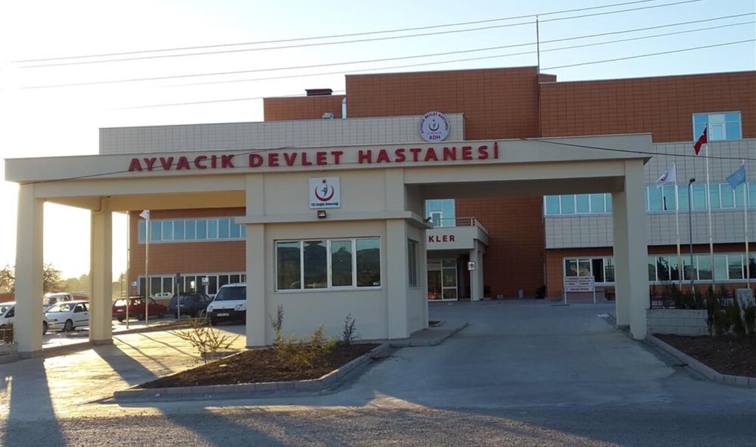 ÇANAKKALE’nin Ayvacık ilçesinde, Assos Antik Kenti yakınlarındaki sahilde kayalıklar üzerinde