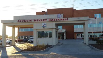 ÇANAKKALE’nin Ayvacık ilçesinde, Assos Antik Kenti yakınlarındaki sahilde kayalıklar üzerinde
