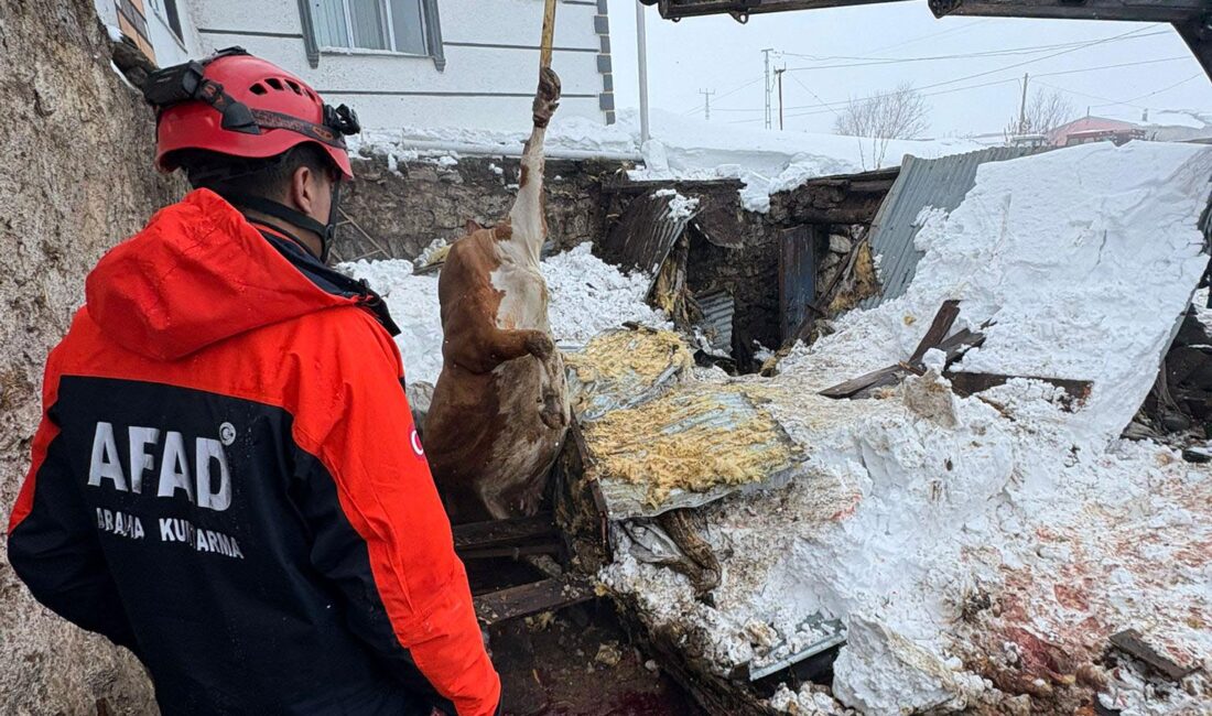 Kars merkez ve Halefoğlu köyünde, çatılarında biriken yoğun kar kütlesi