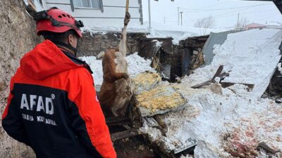 Kars merkez ve Halefoğlu köyünde, çatılarında biriken yoğun kar kütlesi