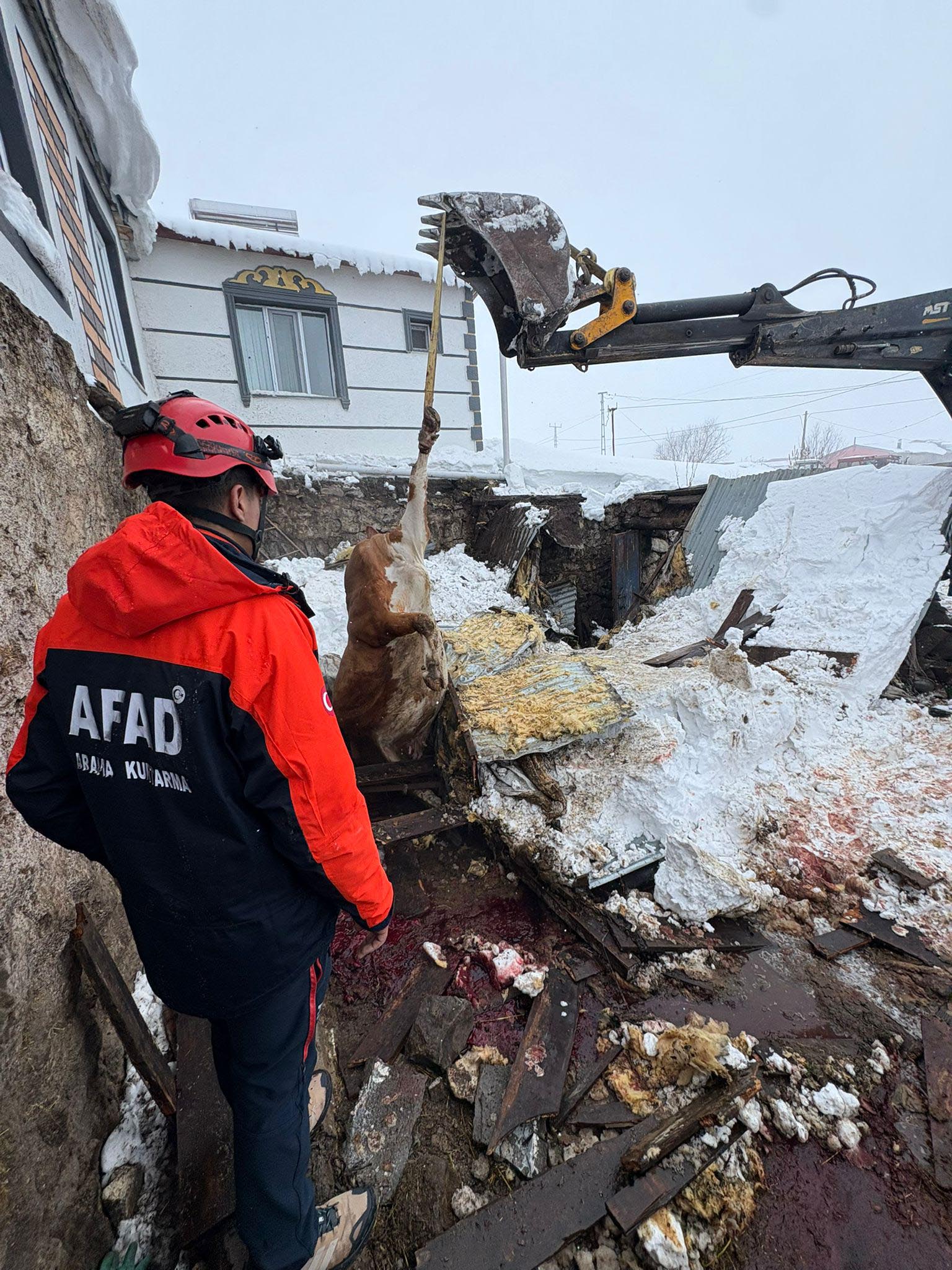 Kars merkez ve Halefoğlu köyünde, çatılarında biriken yoğun kar kütlesi