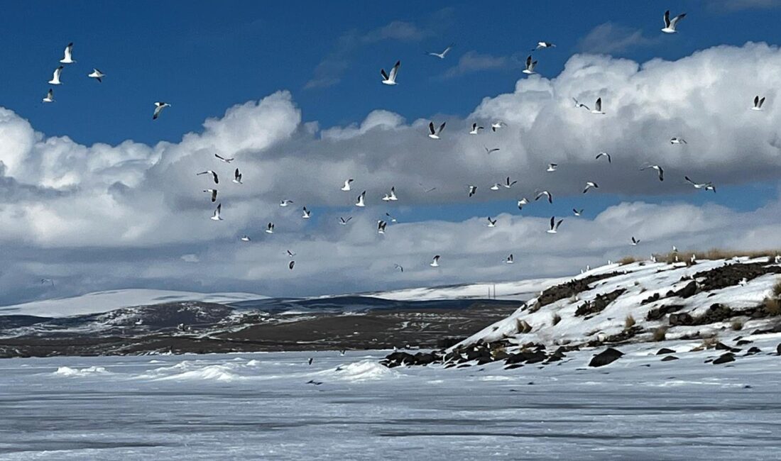 KARS ve Ardahan sınırları içerisinde yer alan Çıldır Gölü, bu