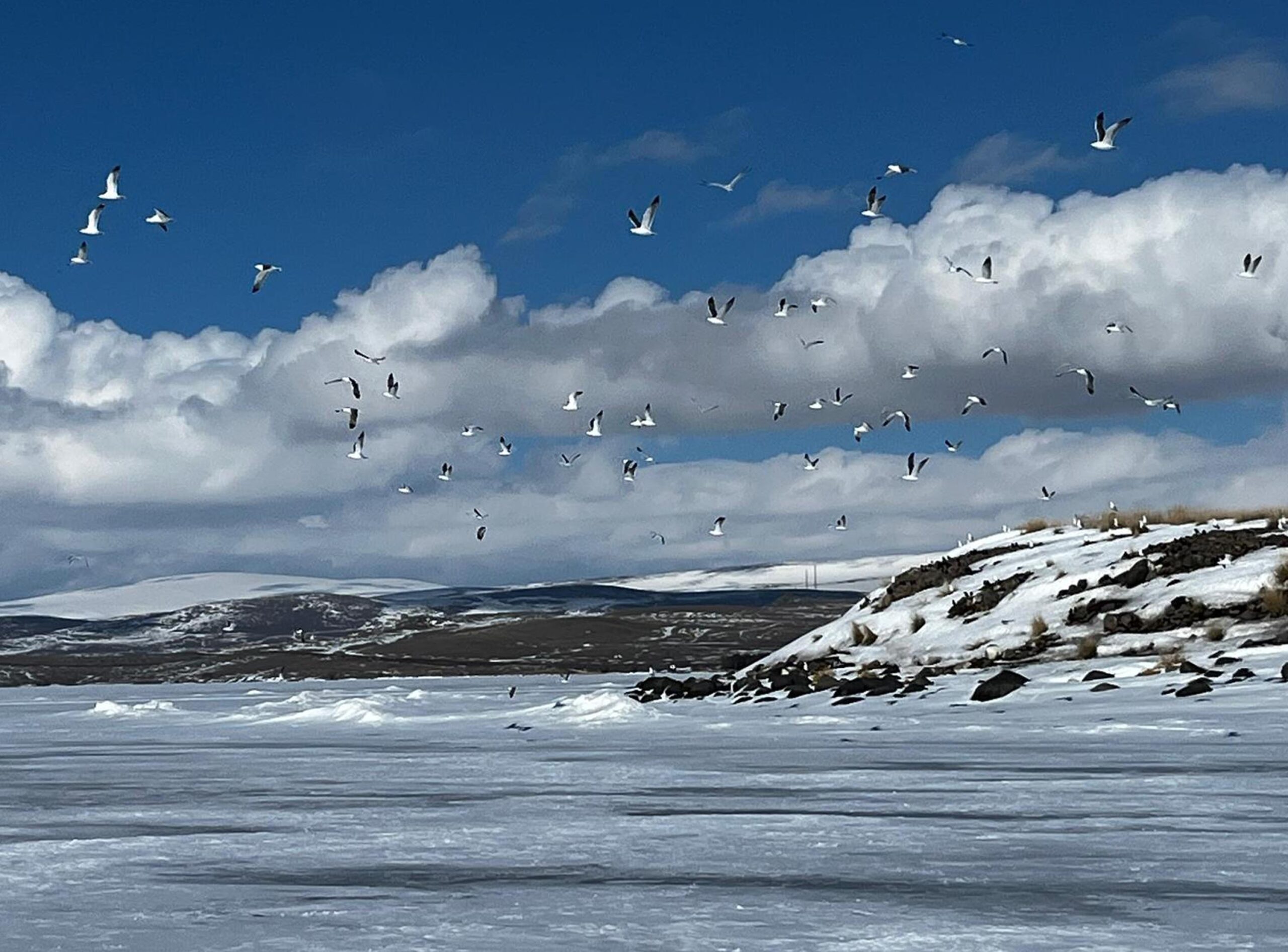 KARS ve Ardahan sınırları içerisinde yer alan Çıldır Gölü, bu