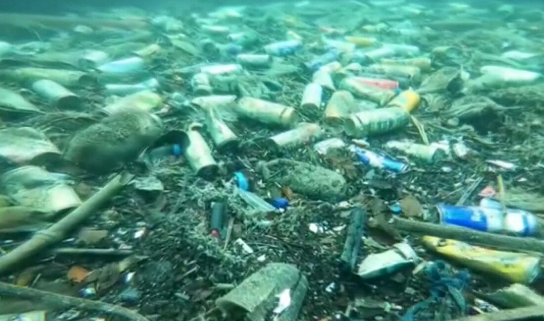 Antalya kıyılarında yaklaşık 4 yıldır hobi amaçlı dalışlar gerçekleştiren Hüseyin