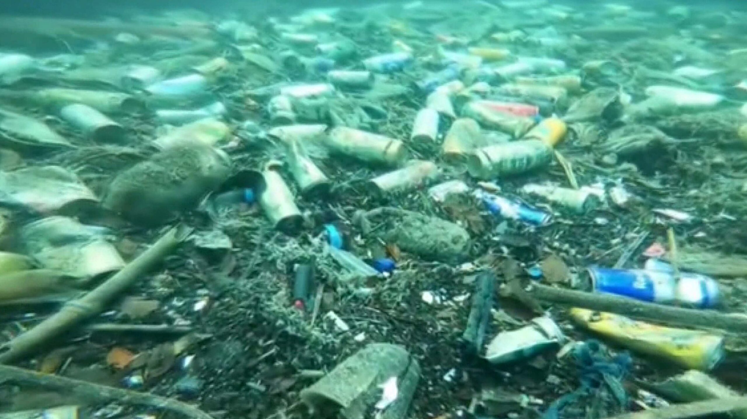 Antalya kıyılarında yaklaşık 4 yıldır hobi amaçlı dalışlar gerçekleştiren Hüseyin