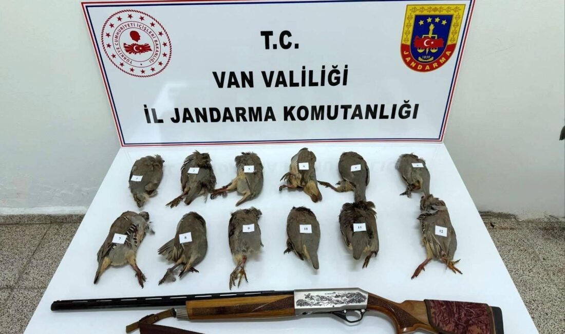 VAN’ın Erciş ilçesinde jandarma ekipleri tarafından gerçekleştirilen denetimlerde, yasa dışı