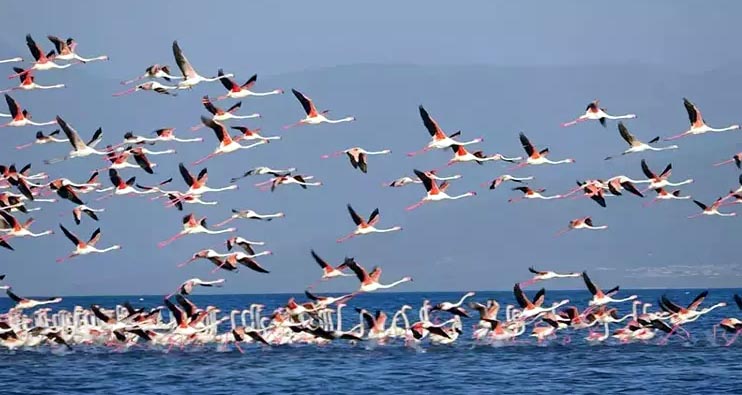 Küresel ısınma ve iklim değişikliğinin etkisiyle su seviyesi hızla düşen