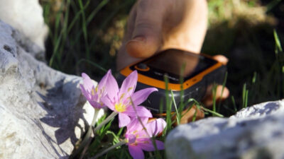 Antalya’da salep ham maddesi elde etmek amacıyla doğadan kaçak şekilde