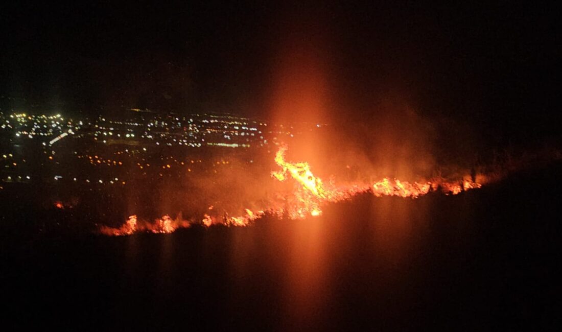 Hatay’ın İskenderun ilçesinde, ormanlık alan ve yerleşim birimlerine yakın bir