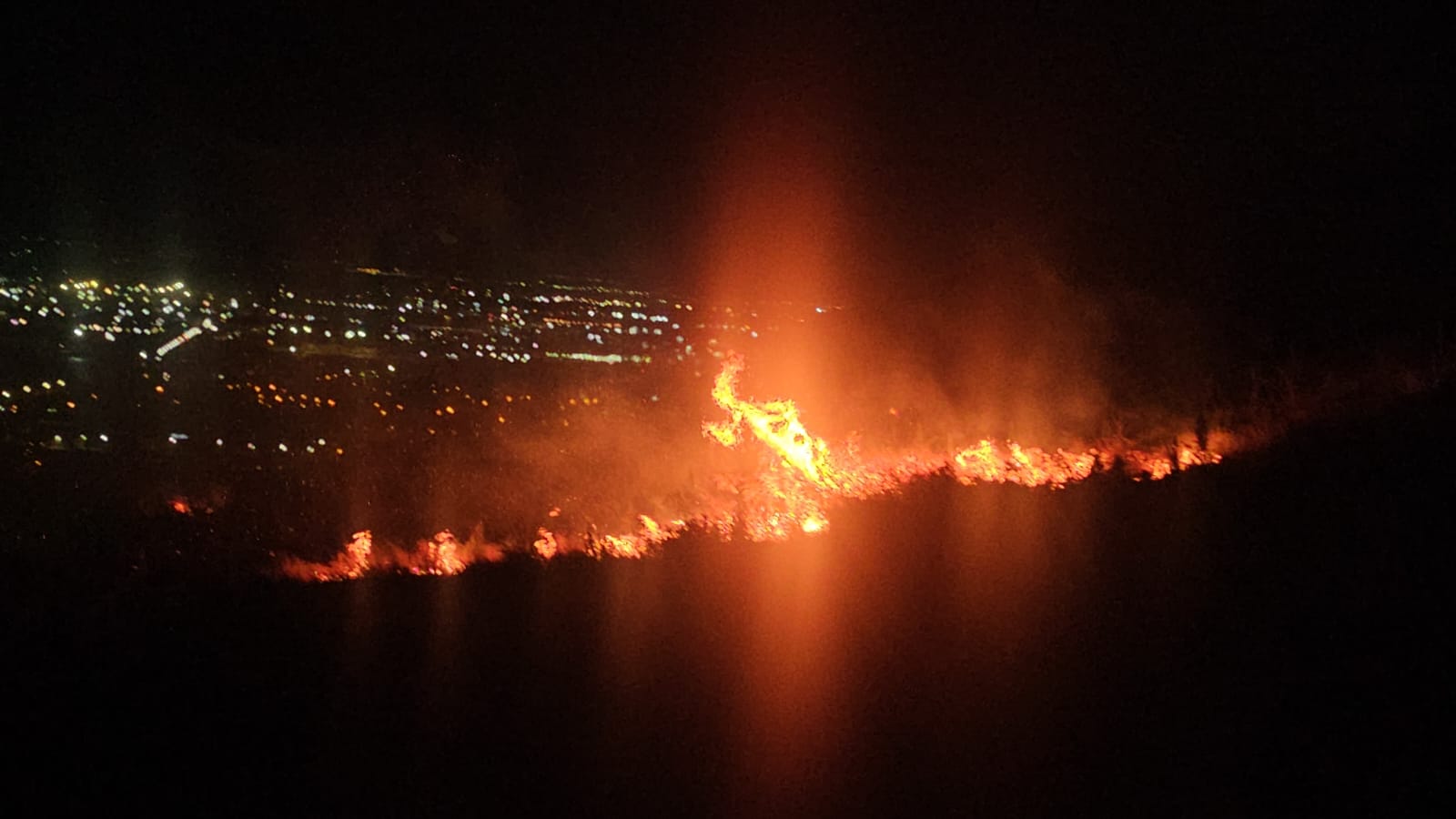 Hatay’ın İskenderun ilçesinde, ormanlık alan ve yerleşim birimlerine yakın bir