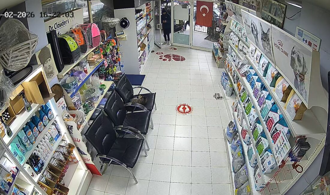 İstanbul Avcılar’da kimliği belirsiz 3 çocuk, bir veteriner kliniğinin içerisine