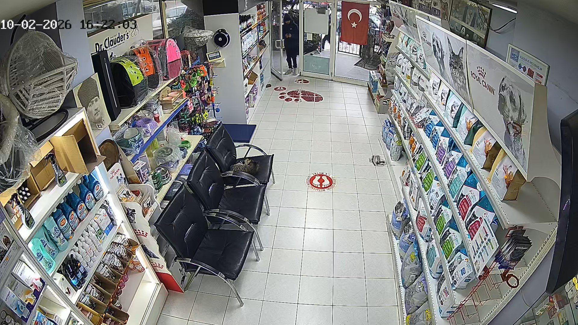 İstanbul Avcılar’da kimliği belirsiz 3 çocuk, bir veteriner kliniğinin içerisine