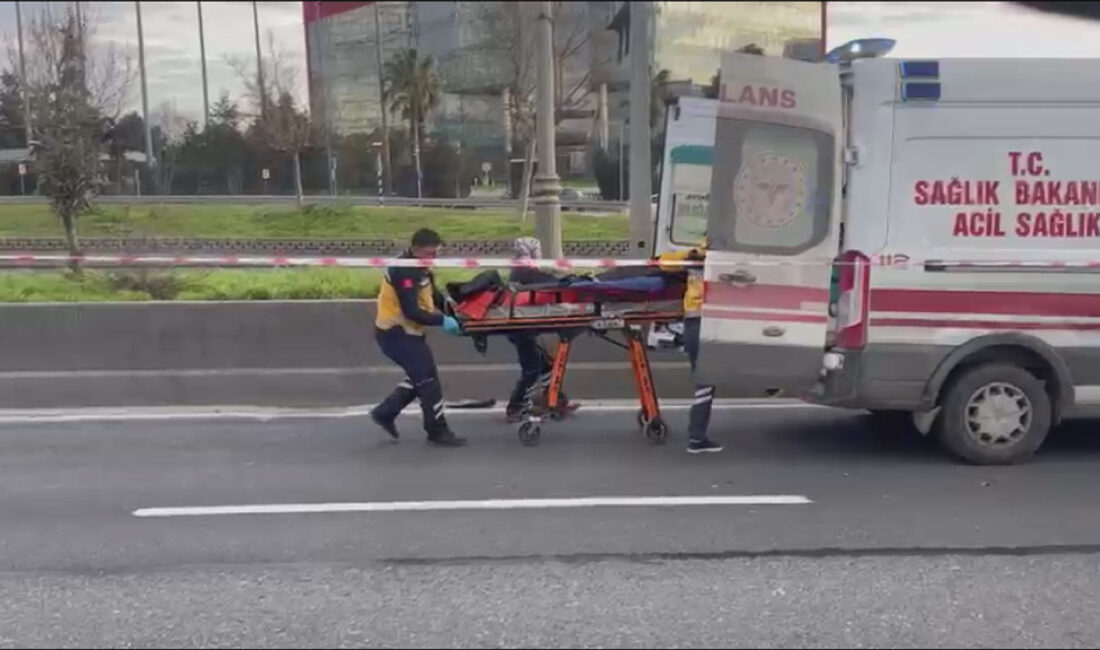 İstanbul Bağcılar O-3 Avrupa Otoyolu’nda, aracından inen kamyonet şoförüne önce