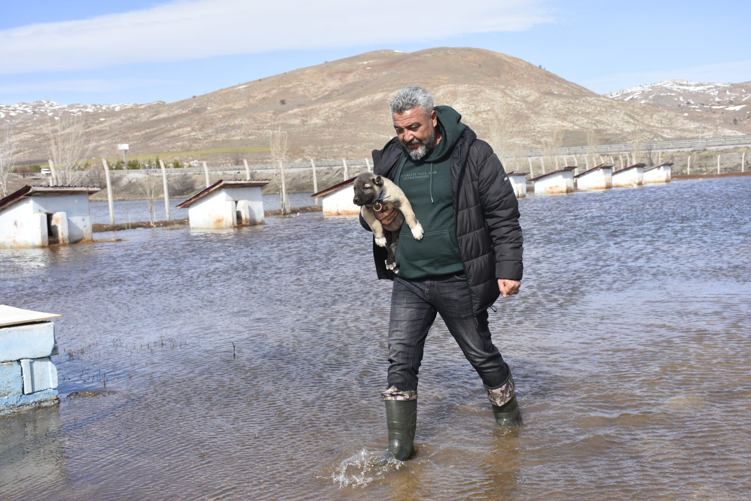 Sivas’ta karların erimesi ve sağanak yağışların etkisiyle bir Kangal köpeği