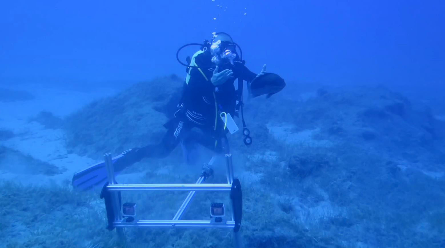 Karadeniz Teknik Üniversitesi (KTÜ) bilim insanları, deniz ekosistemini tehdit eden
