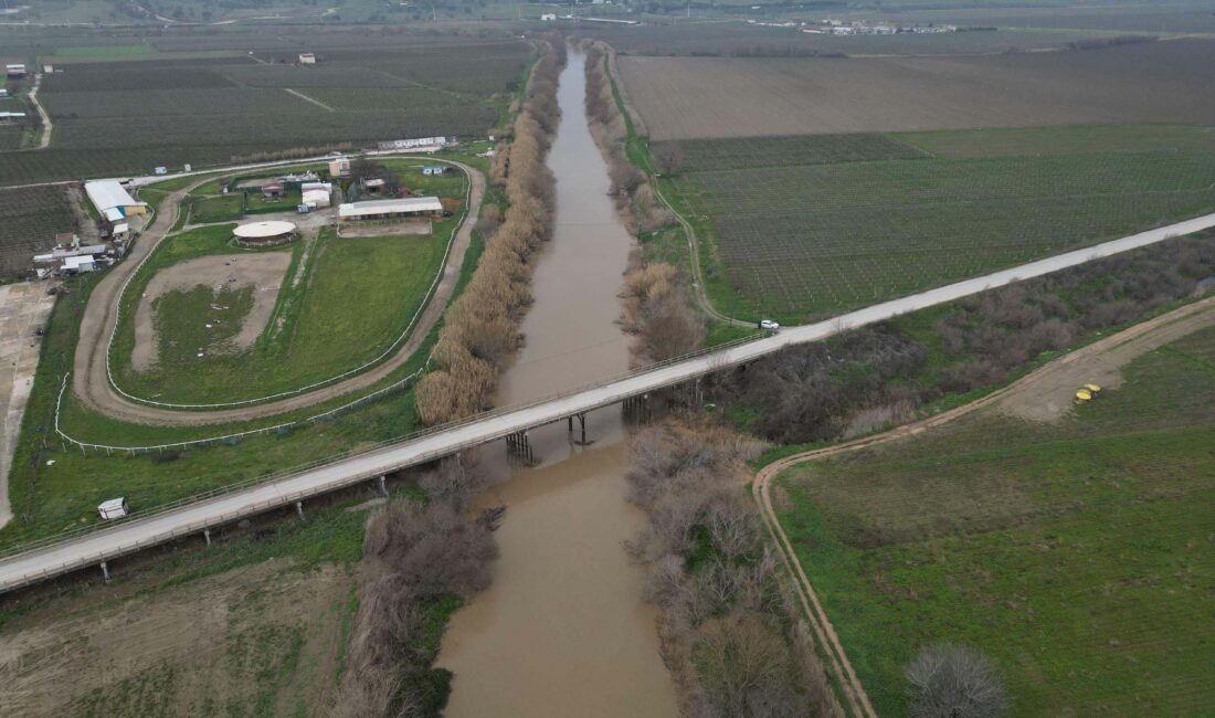 İklim değişikliği ve aşırı sıcaklar nedeniyle tamamen kuruma tehlikesi yaşayan