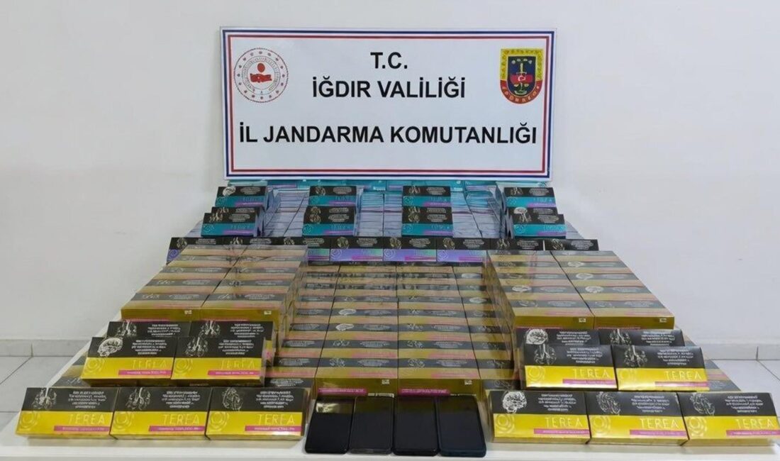 Iğdır’da jandarma ekiplerince gerçekleştirilen operasyonda, piyasa değeri yaklaşık 4 milyon