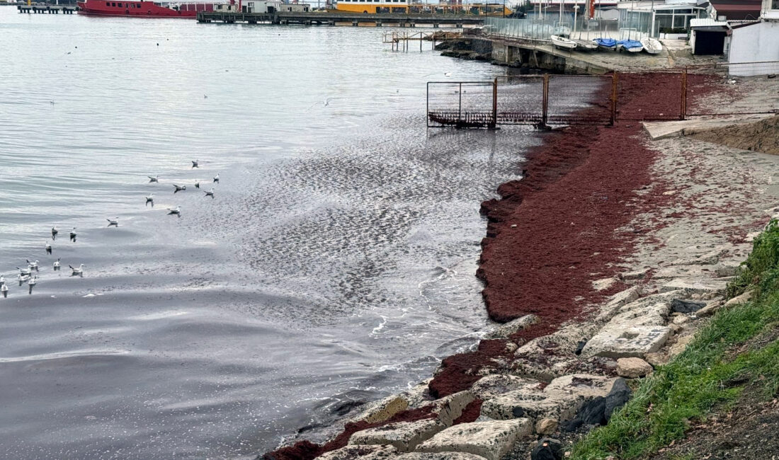 Marmara Denizi’nde etkili olan şiddetli poyraz, Tekirdağ kıyılarında alışılagelmişin dışında