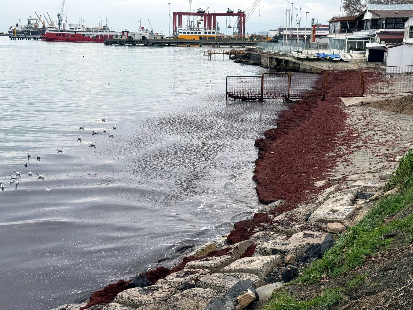 Marmara Denizi’nde etkili olan şiddetli poyraz, Tekirdağ kıyılarında alışılagelmişin dışında