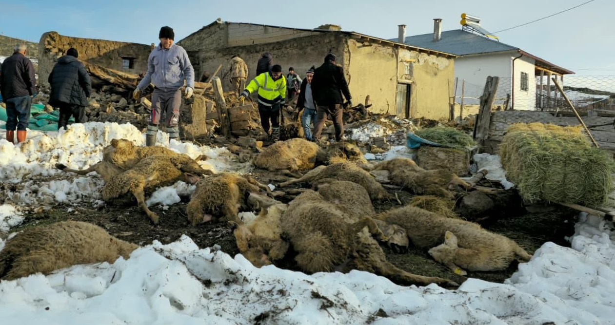 Sivas’ın Altınyayla ilçesinde, üzerinde biriken karın ağırlığına dayanamayan bir ağılın