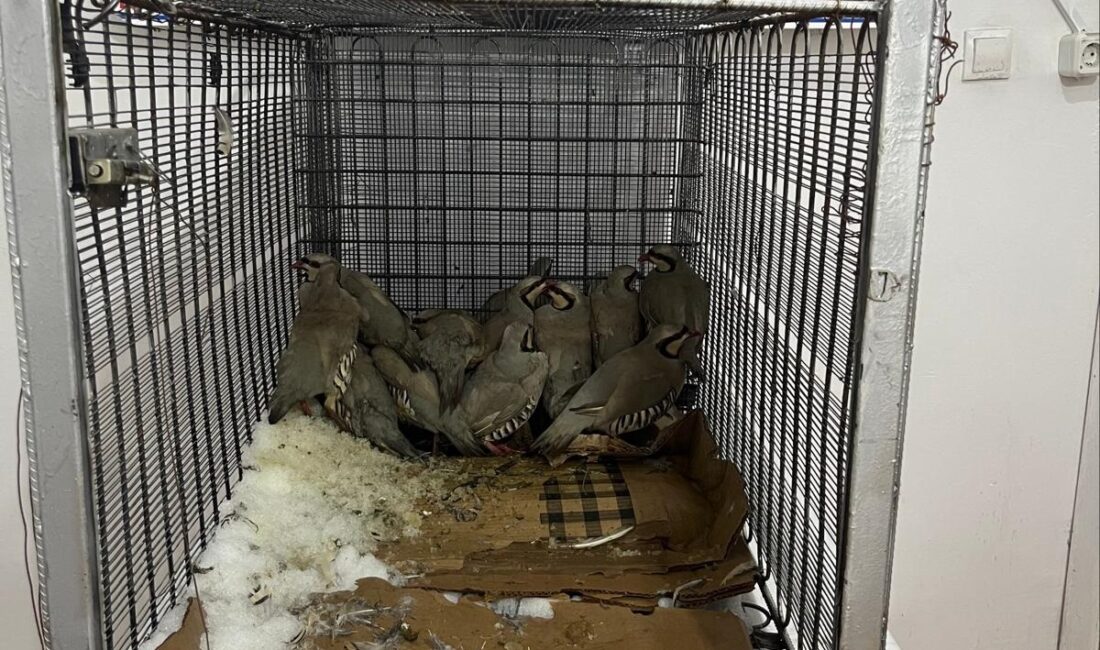 Van’ın Muradiye ilçesinde jandarma ekipleri tarafından gerçekleştirilen denetimlerde, bir evin