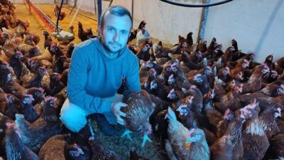 Ana Sayfa › Ekonomi › KÖYÜNE DÖNDÜ GEZEN TAVUK YUMURTA