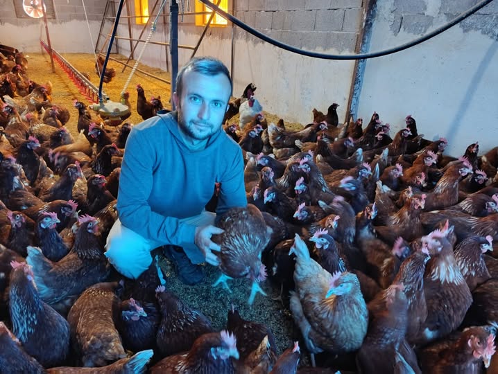 Ana Sayfa › Ekonomi › KÖYÜNE DÖNDÜ GEZEN TAVUK YUMURTA