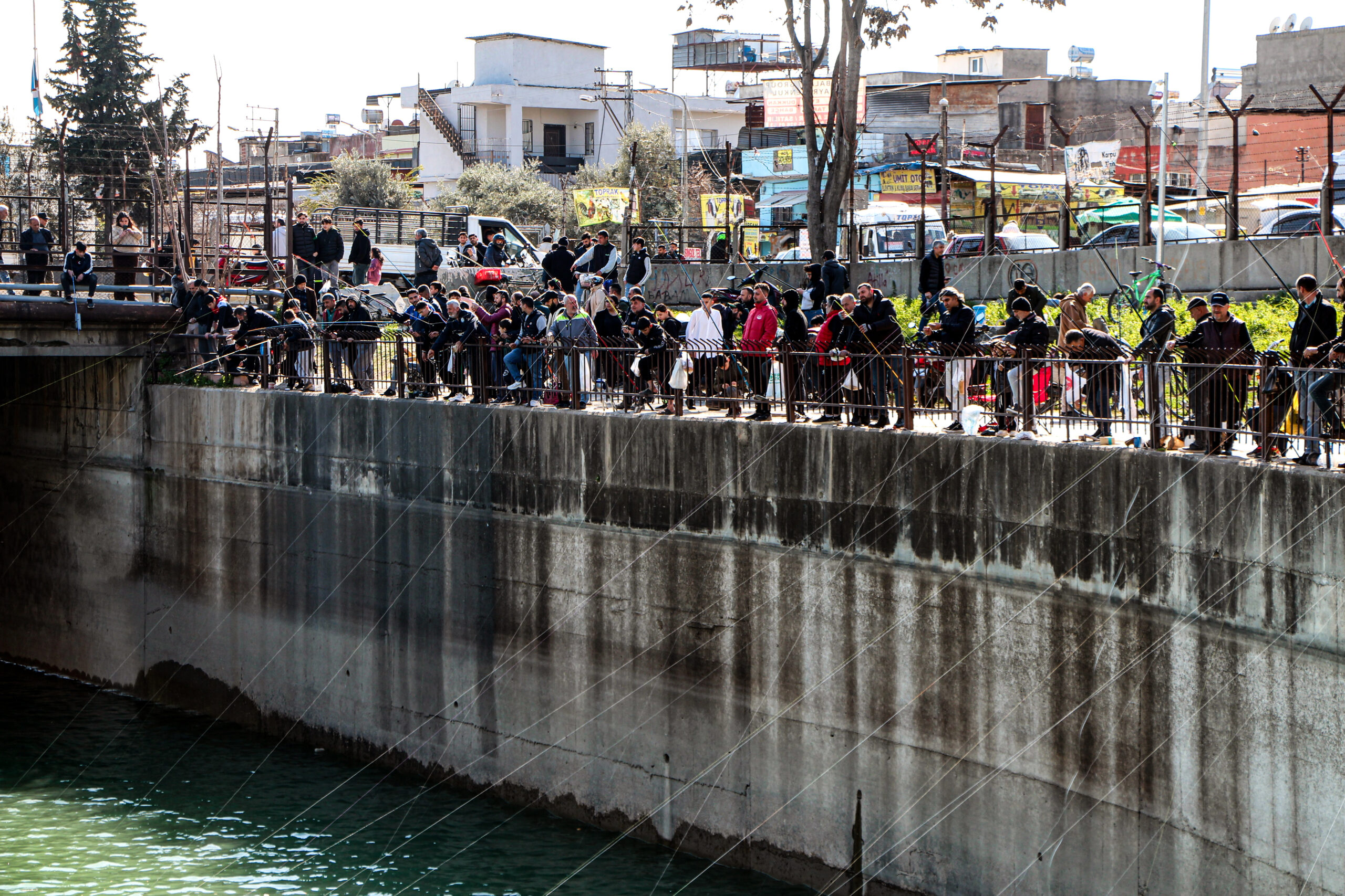 Adana’da iç sularda sazan balığı av yasağının başladığı ilk gün,