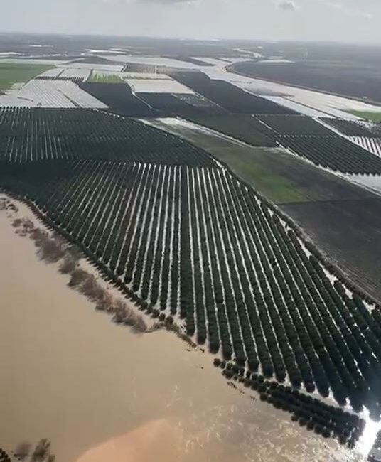 Adana’da Ramazan Bayramı boyunca etkili olan şiddetli sağanak yağış ve