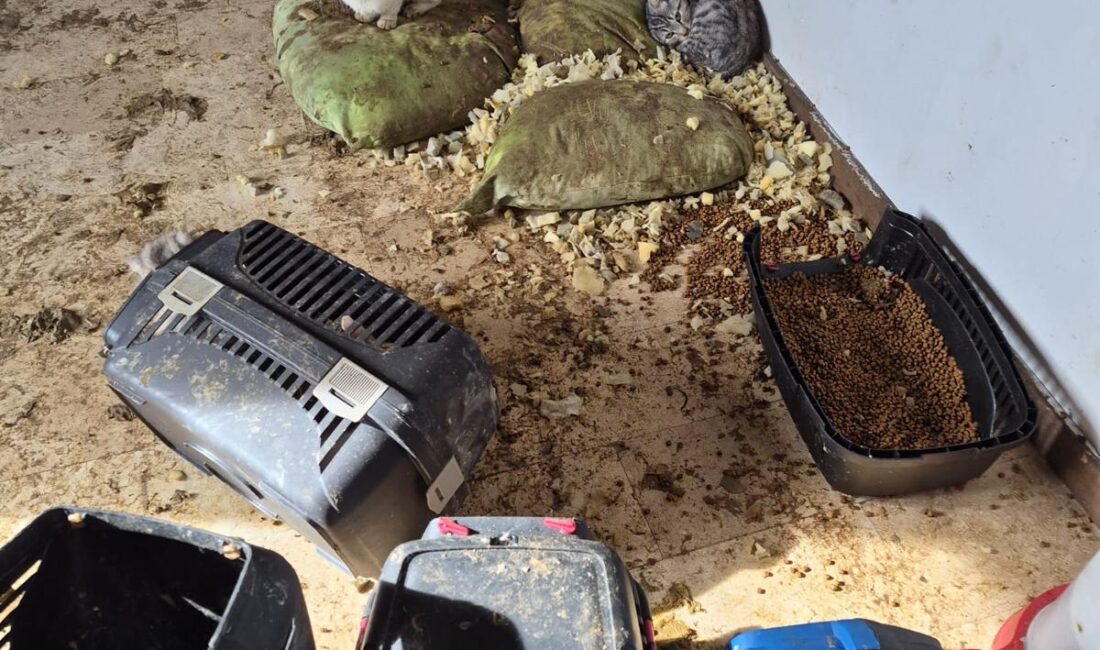 Ankara’nın Sincan ilçesinde, kendisini “hayvansever” olarak tanıtan bir kişinin müstakil