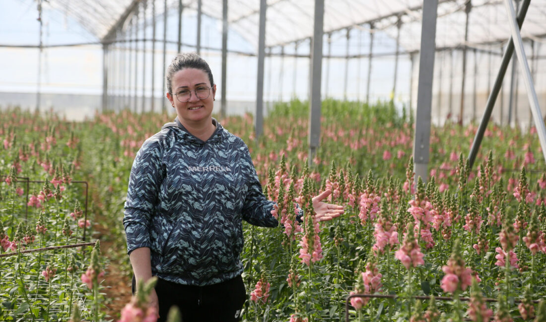TÜRKİYE’nin kesme çiçek üretim ve ihracat üssü Antalya’da ürün çeşitliliği