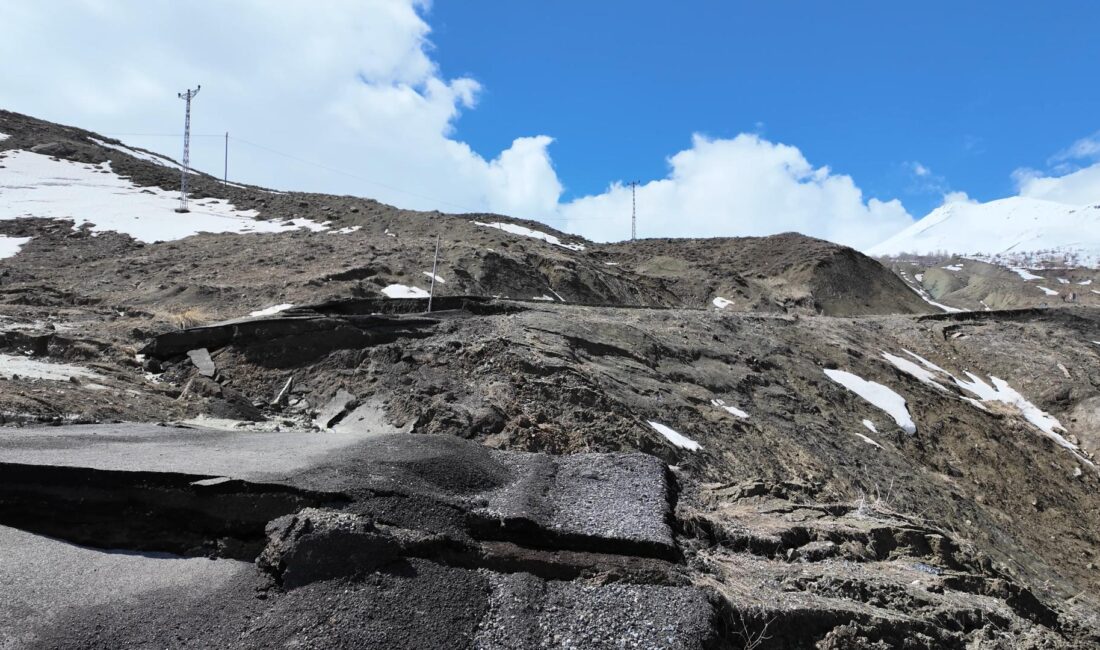 Bingöl’de etkili olan kuvvetli sağanak yağış, merkeze bağlı Yelesen grup